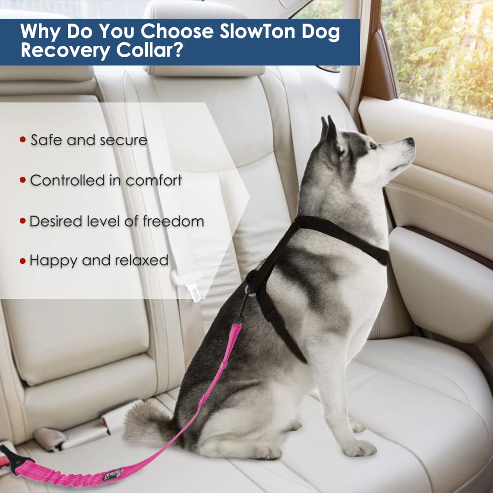 Slowton Dog Seat Belt, Adjustable Dog Safety Belt Leash, 2 In 1 Latch Bar Attachment Dog Car Seatbelt With Elastic Nylon Bungee Buffer, Reflective Nylon Belt Tether Connect To Dog Harness (Fu)