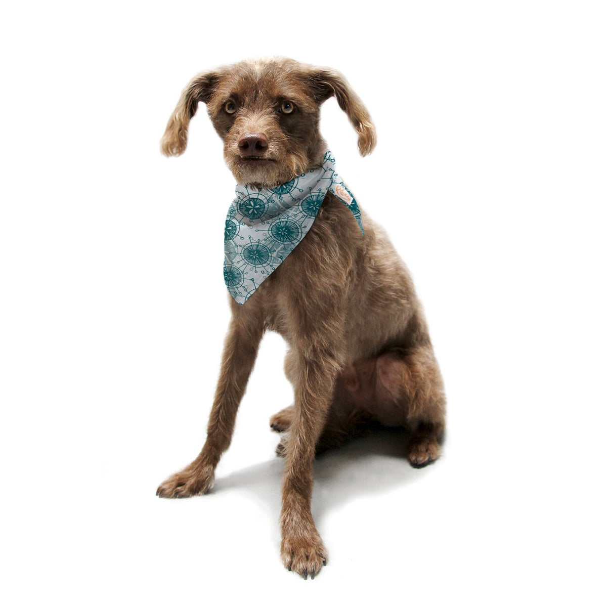 Kess Inhouse Anchobee 'Satellite' Pet Bandana And Scarf, 28 By 20 By 20-Inch