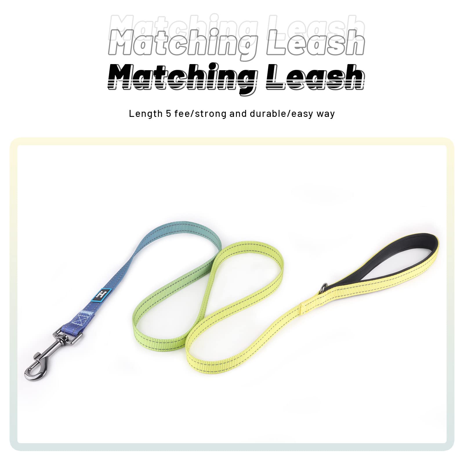 Roses&Poetry Reflective Dog Collar And Leash Set With Gradient Amber, Adjustable Durable Puppy Collars Leashes For Extra Small D