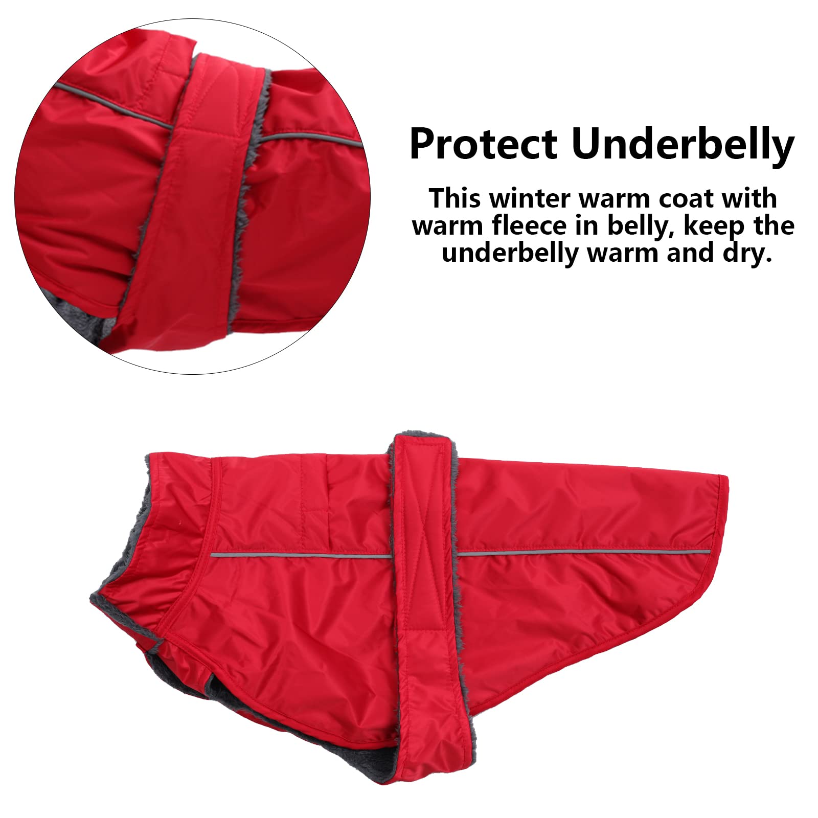 Dachshund Coat Waterproof, Perfect For Dachshund Sausage, Puppy Winter Jacket With Padded Fleece Lining, Outdoor Dog Clothing With Adjustable Bands And Underbelly Protection - Red - M