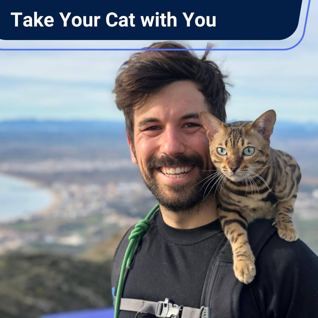 Houdini Escape Proof Cat Harness And Leash Set By Outdoorbengal - Orange, Medium Cat Harness For Walking