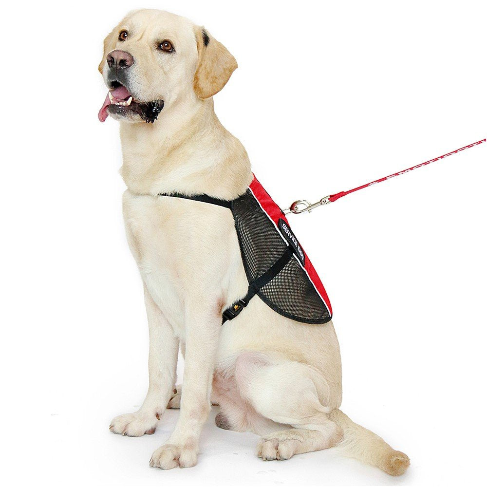 Plutus Pet Service Dog Vest With 2 Removable Patches, Light Weight And Breathable Mesh Service Animal Harness,Perfect For Summer And Hot Days,Red,Xl,Girth 31.5-39'