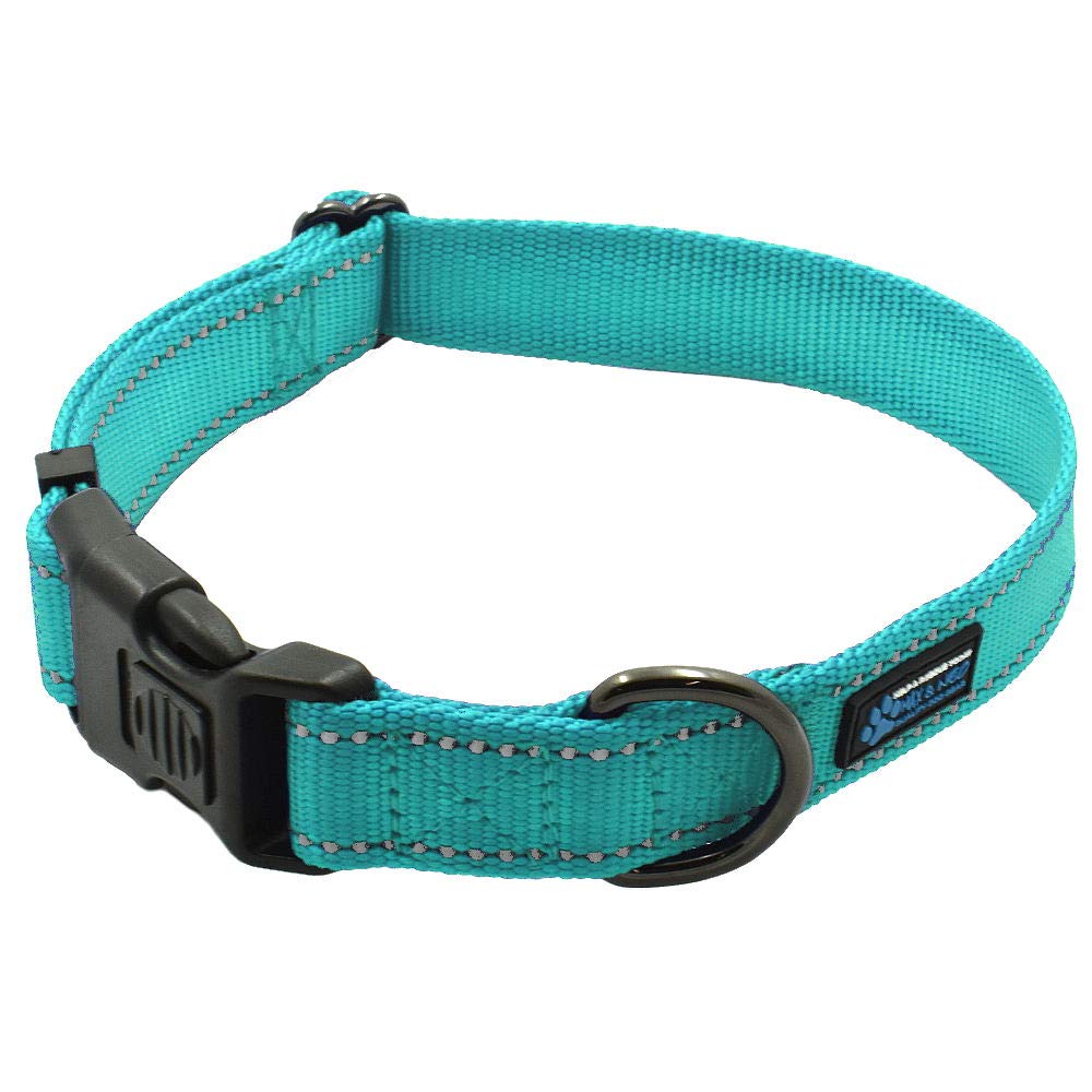 Max And Neo Neo Nylon Buckle Reflective Dog Collar - We Donate A Collar To A Dog Rescue For Every Collar Sold (Small, Teal)