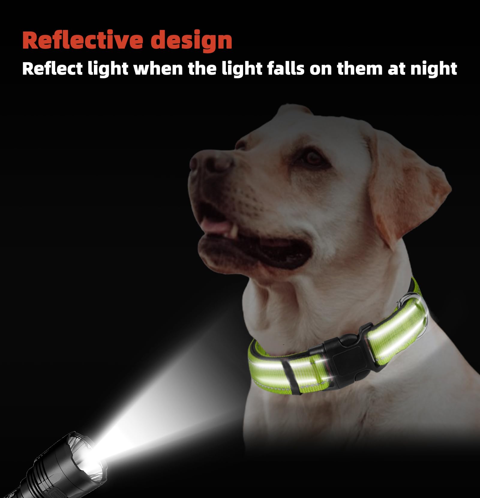 Green Dog Collar, Reflective Pet Collar with Buckle Adjustable Safety Nylon Collars for Small Medium Large Dogs, S