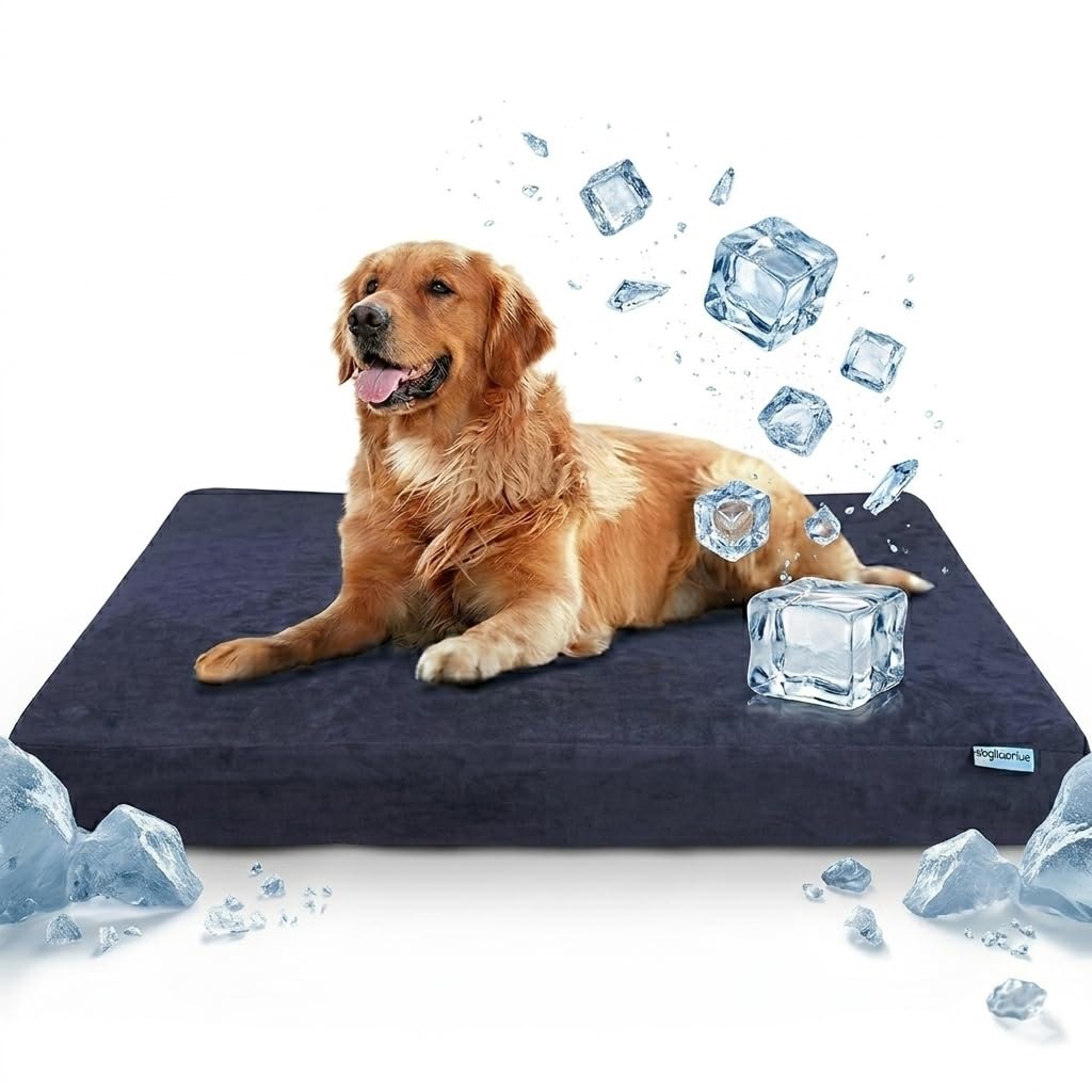 UNIQUE PET COLLECTION Premium XL Orthopedic Dog Bed  Waterproof, Cool Summer Comfort, Memory Foam Support, 47x29x4 with Extr