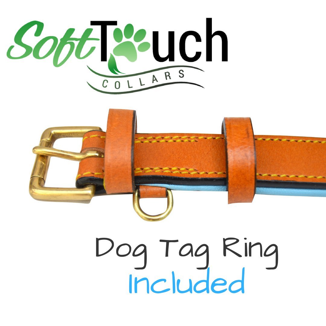 Soft Touch Collars Padded Leather Dog Collar, Medium, 20" Long, Tan/Teal, Neck Size 14.5" to 17.5"