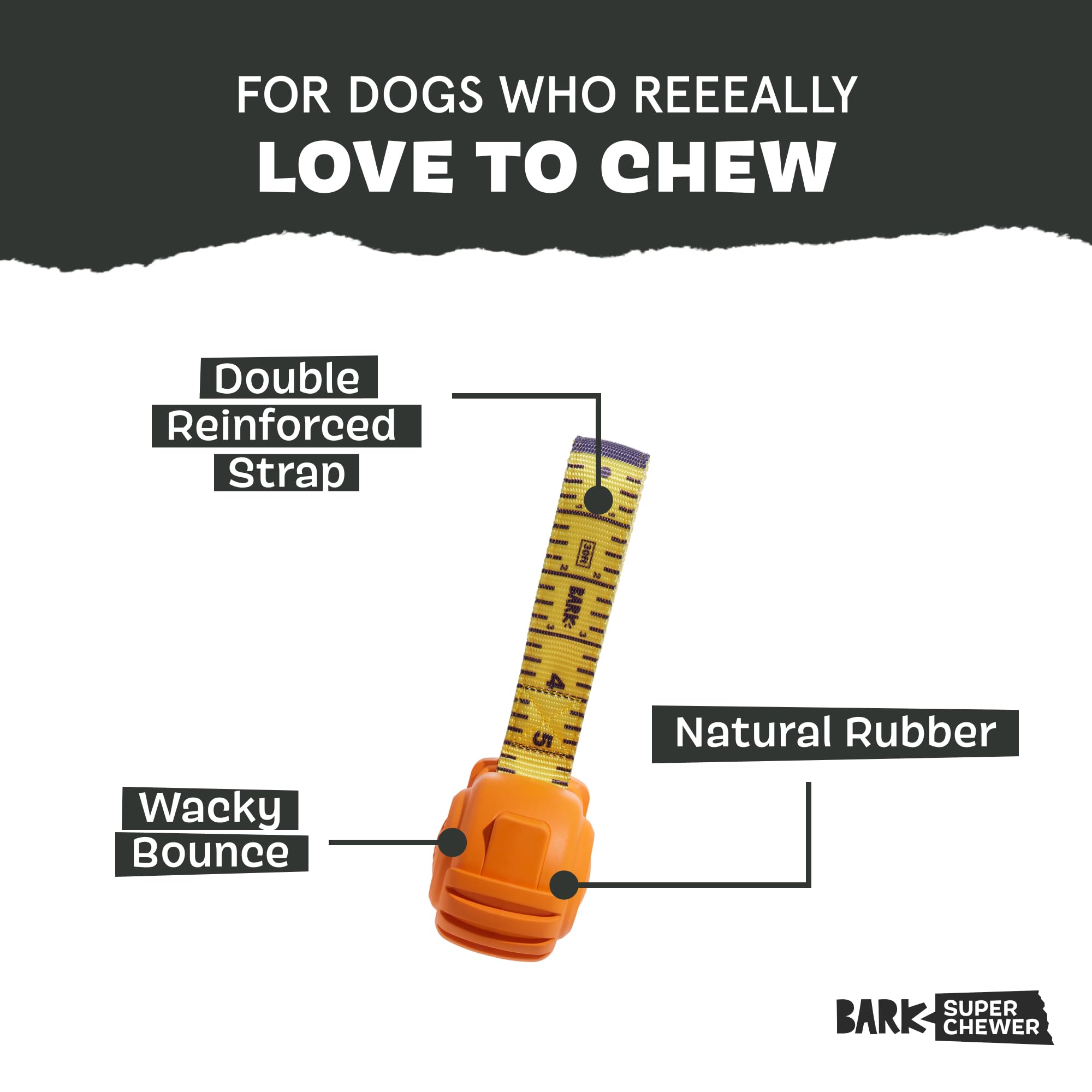 Barkbox Tug Measure Durable Dog Toy, Perfect For Strong Chewers And Interactive Play - Large