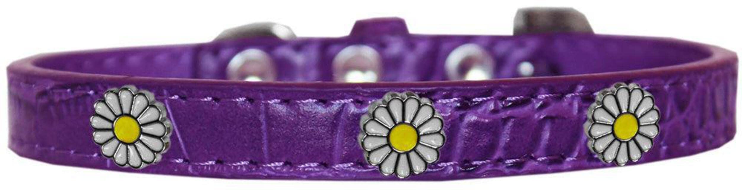 Dog, Puppy & Pet Designer Croc Widget Collar, &quot;White Daisies&quot; Purple 12
