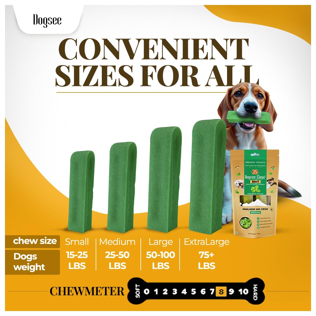 Dogsee Mint Flavor Himalayan Yak Cheese Dental Chews for Dogs 1lb (Medium - 6 Chews) | Aid Digestion | Made in Himalayan Regions