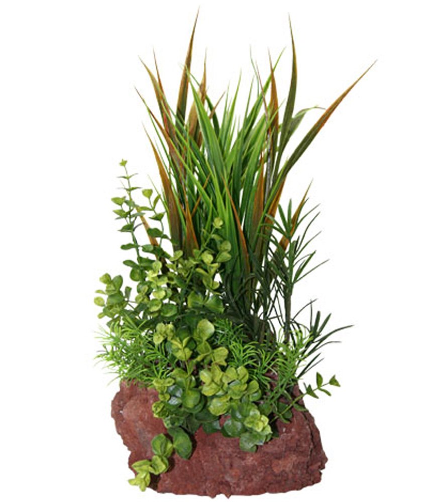 Rock Garden Natural Green Plant With Red Lava Rock Base, 15''