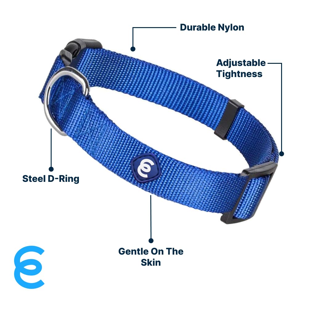 Blueberry Pet Essentials 21 Colors Classic Dog Collar, Royal Blue, Medium, Neck 14.5''-20'', Nylon Collars For Dogs