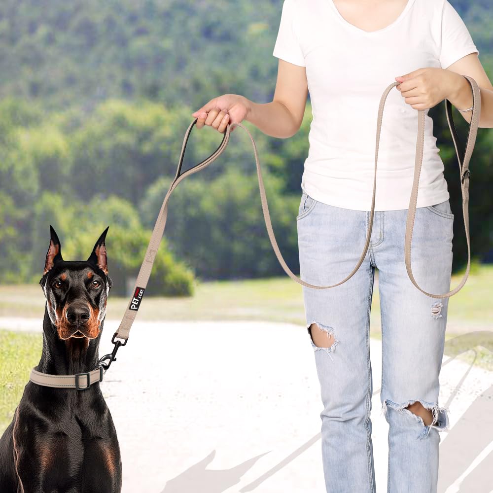 Plutus Pet Double Handle Dog Leash 6Ft, Heavy Duty, Reflective Dual Handle Dog Leash For Safety Training, For Medium Large Dogs,