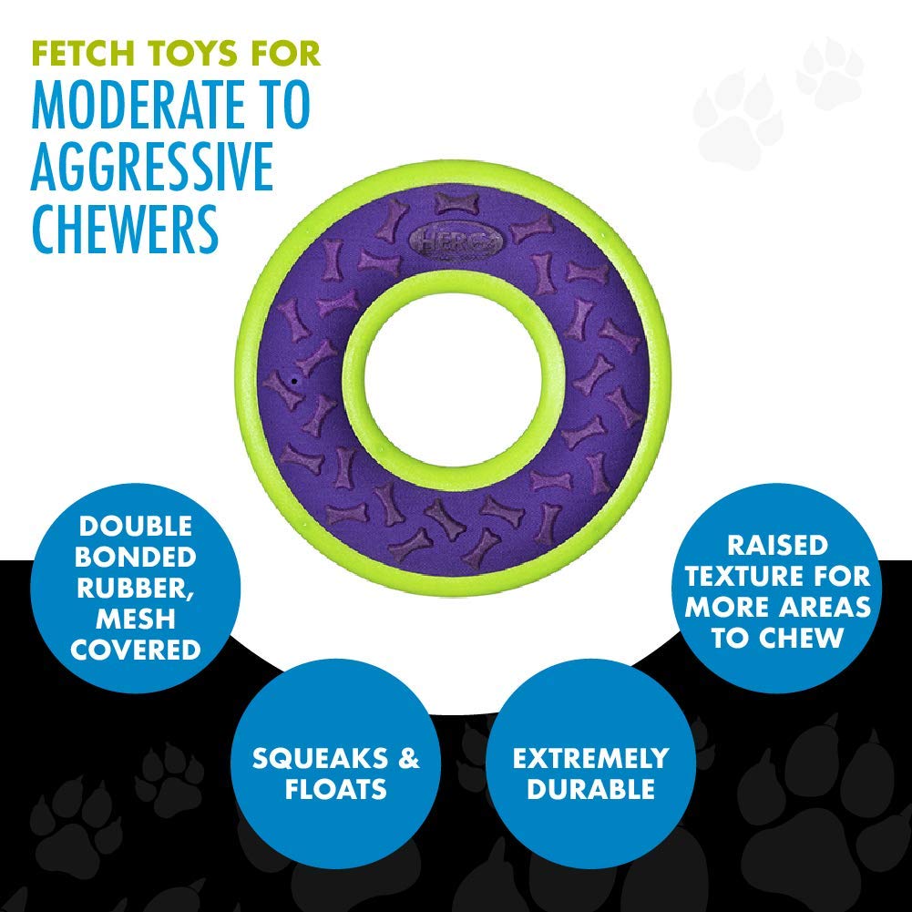 Hero Fetch Ring Dog Toy - Blue, Floats & Squeaks, Durable Outdoor Play for Dogs