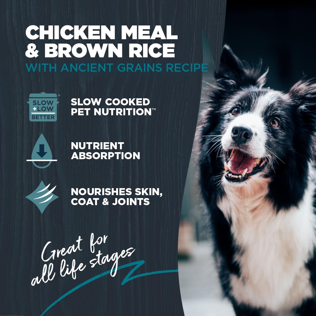Blackwood Complete & Balanced Diet Dry Dog Food, Chicken Meal & Brown Rice with Ancient Grains, 10 Pound Bag, Slow Cooked with V
