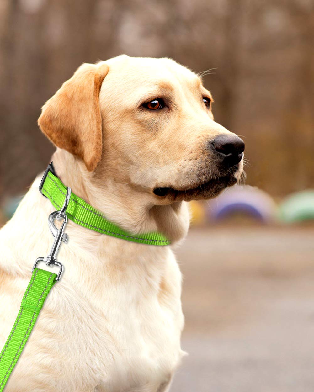 FunTags Reflective Dog Collar, Sturdy Nylon Collars for Large Girl and Boy Dogs, Adjustable Dog Collar with Quick Release Buckle