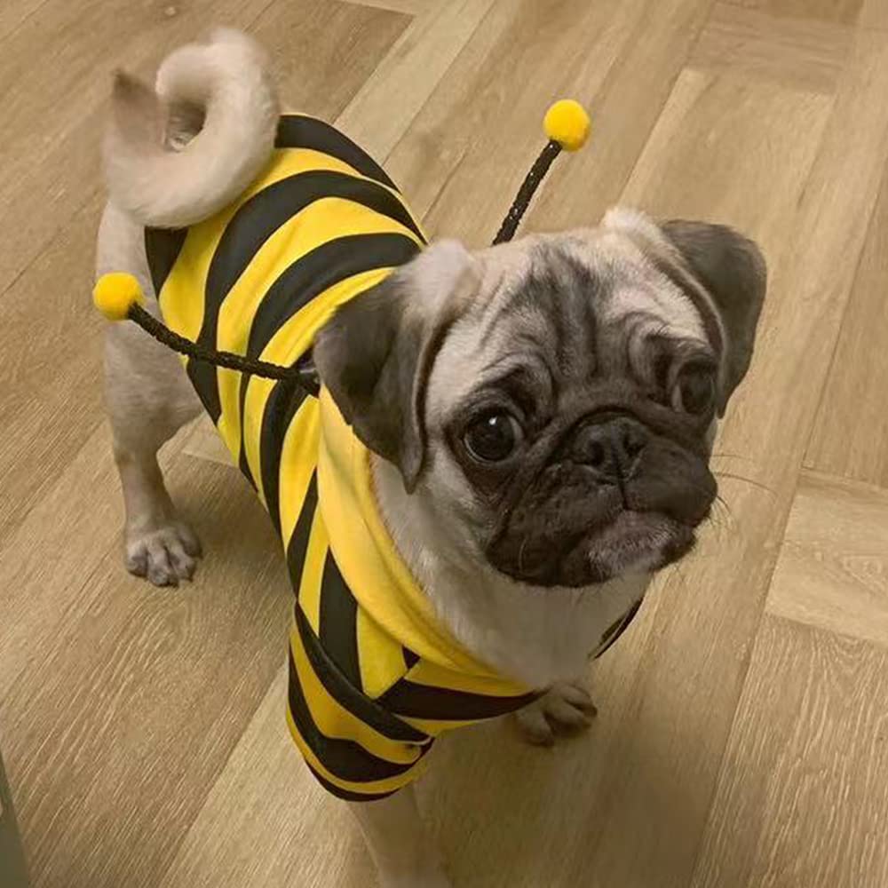 Anelekor Funny Dog Hoodies Sweatshirt Holiday Cat Sweater Warm Dog Clothes For Small Dog Yellow Cat Outfit Puppy Hooded Coat Pet Bee Costume For Halloween Christmas (Yellow,Medium)