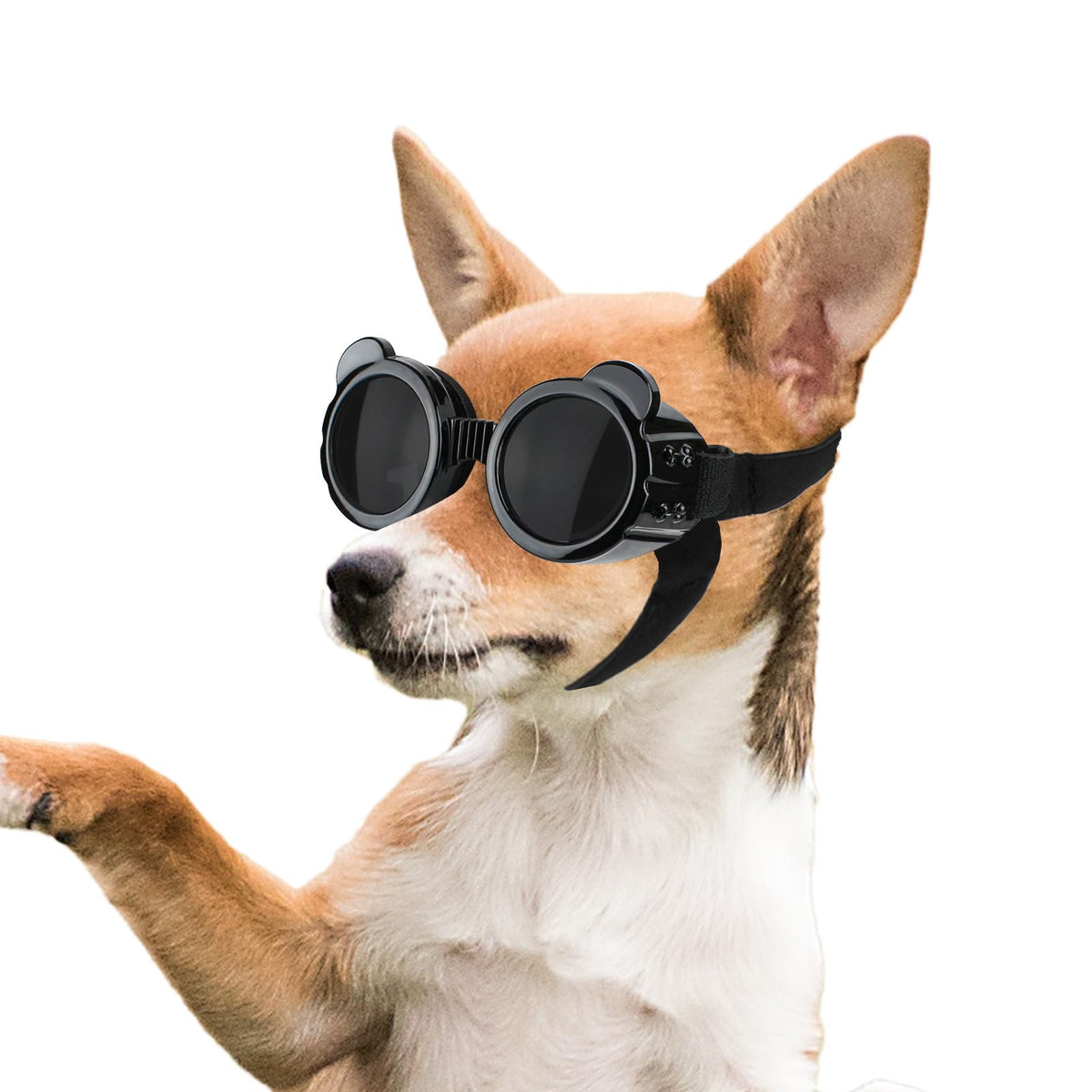 Enjoying Dog Goggles Small Breed, Uv Protection Chihuahua Sunglasses Xsmall Breed, Driving Puppy Eye Protection, Windproof Dustp