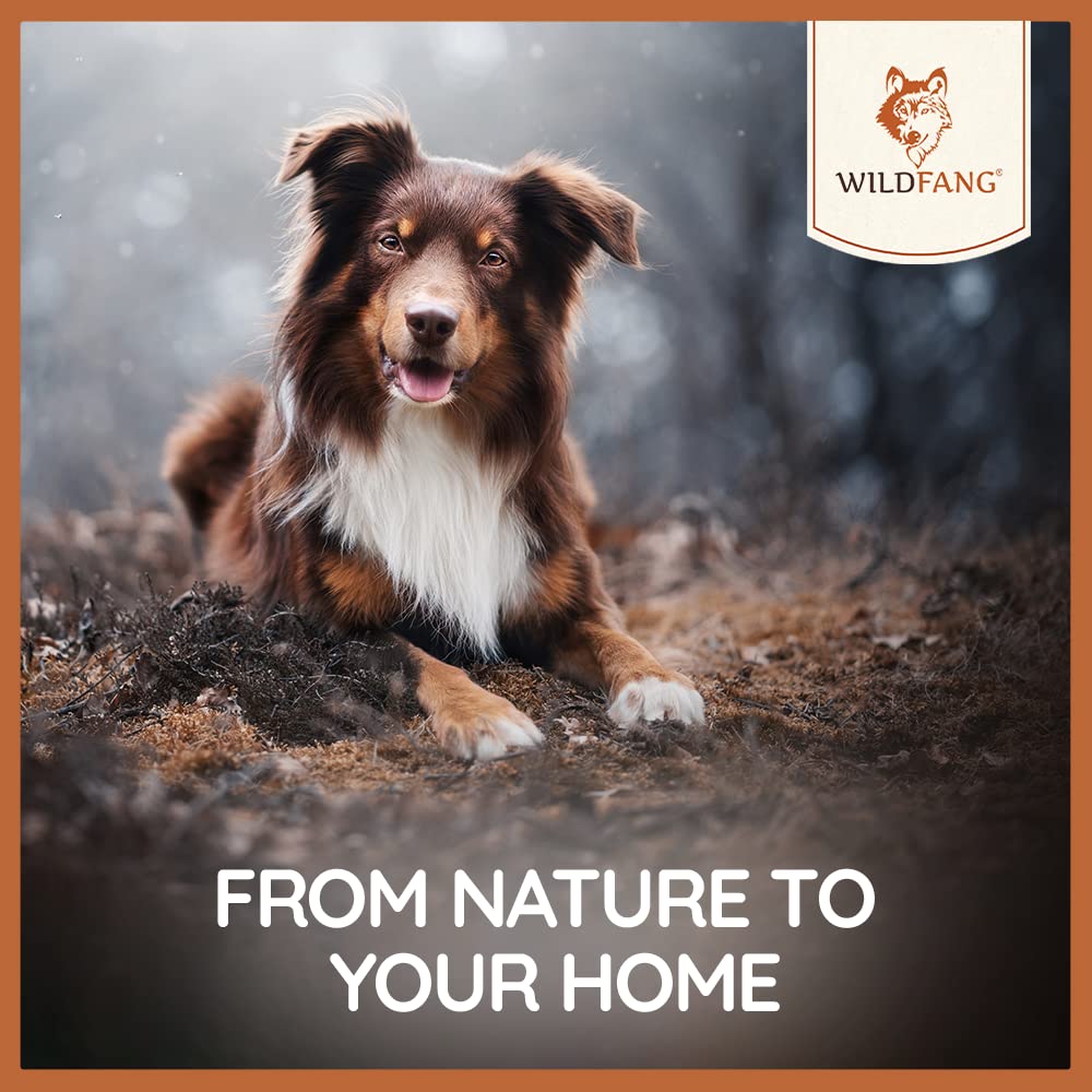 Wildfang Olive Wood - Chewing Stick For Dogs, 100% Natural Dog Toy, Dental Care & Training