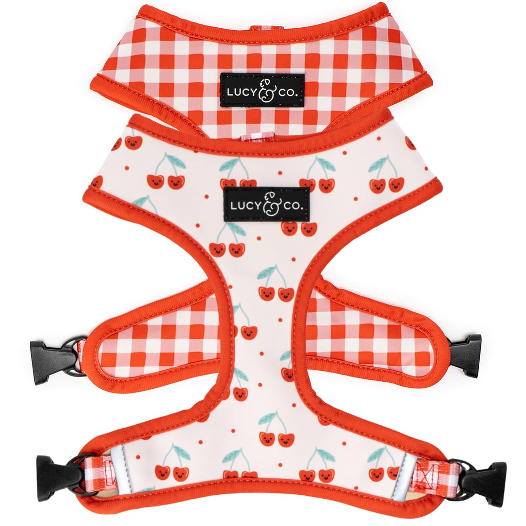 Lucy & Co. Cheery Cherries, Cute Reversible Dog Harness Walking Halter - Best Designer Pet Harnesses For Xs - Xl Dogs - Padded A