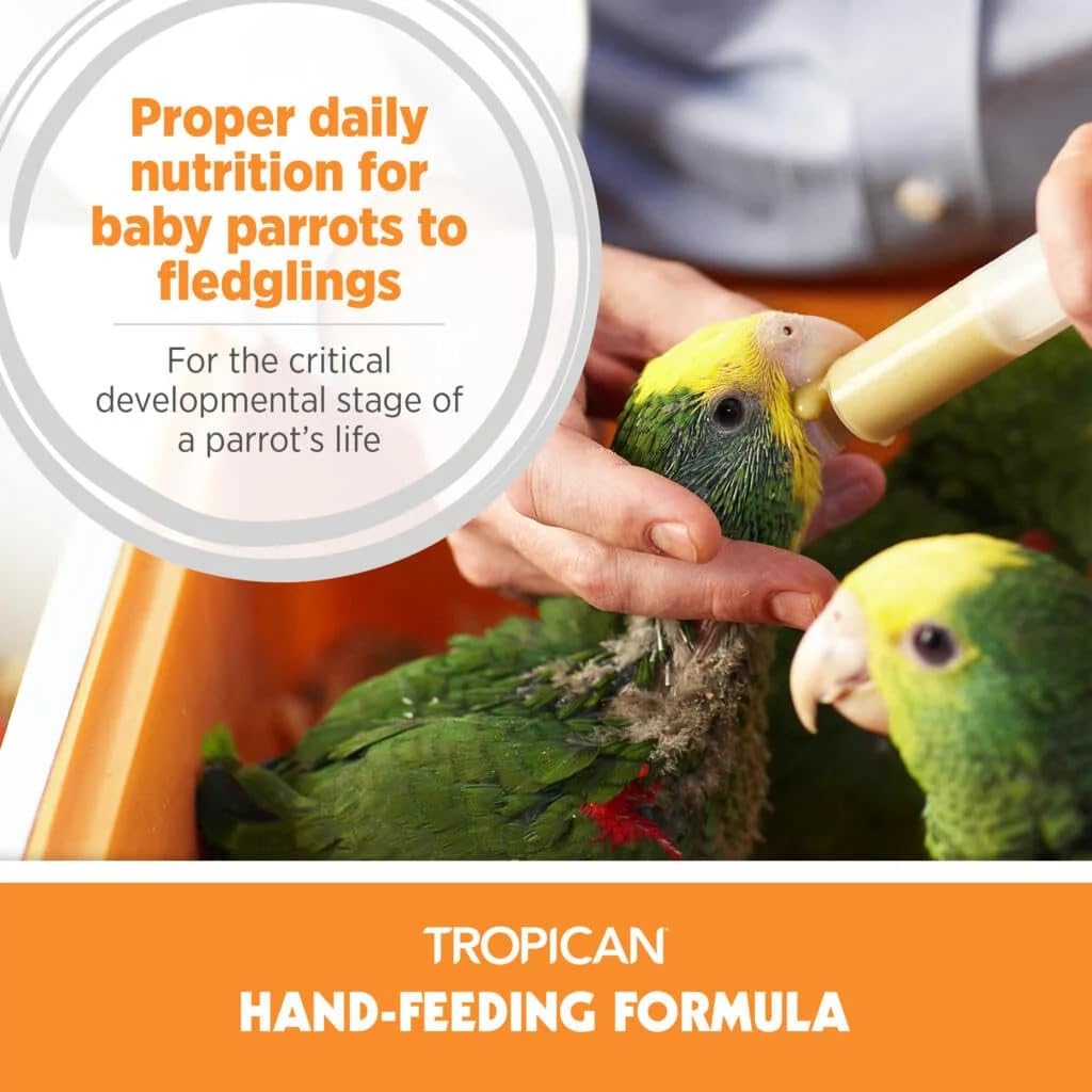 Hari Tropican Baby Bird Food - Complete Nutrition Hand-Feeding Formula, 11 lb Bag, Cream Color, Model B2262