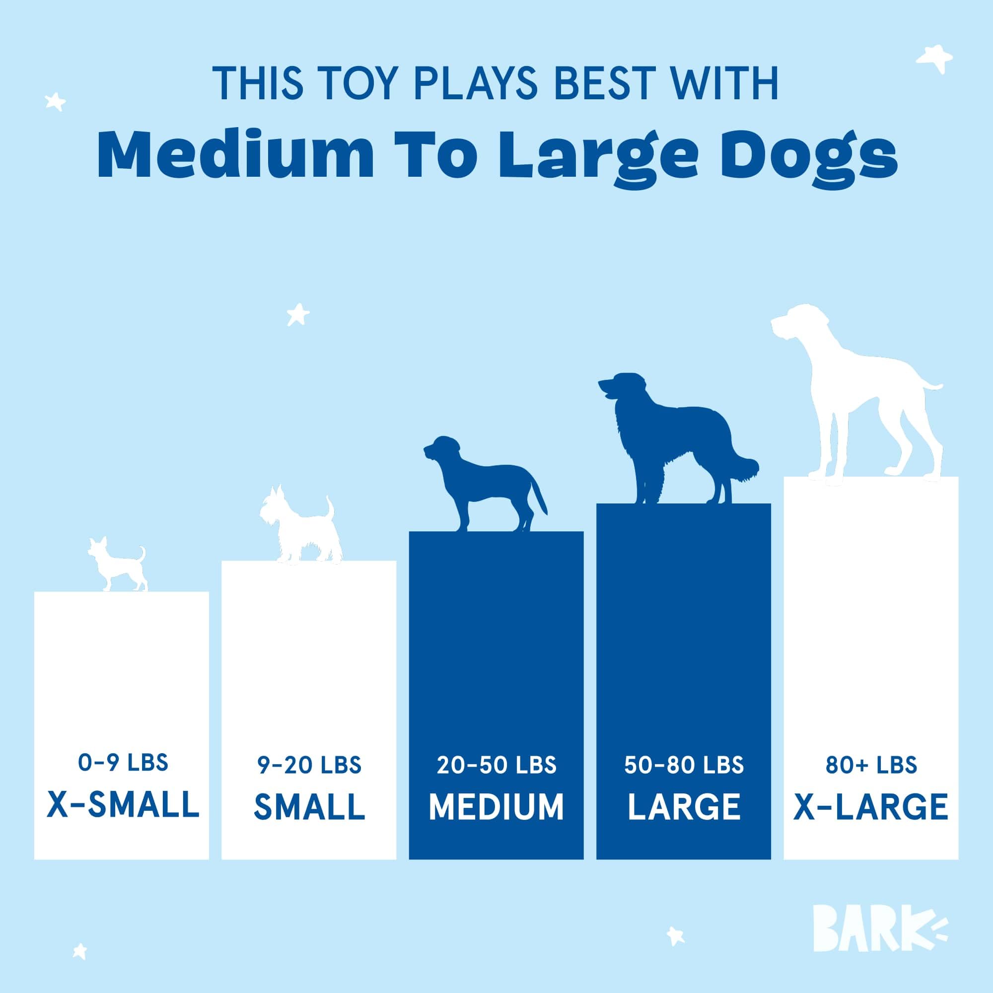 Barkbox Air Head Dog Toy - Rip & Reveal Plush Toy with Hidden Spiky Squeaker Ball, Crazy Crinkle & Fluffy Filling - Interactive