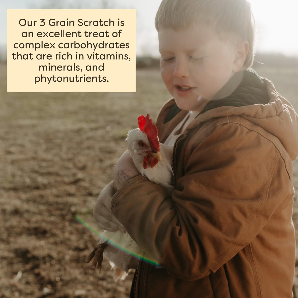 Scratch and Peck Feeds Cluckin Good 3-Grain Scratch for Chickens and Ducks - 10-lbs - Organic and Non-GMO Project Verified