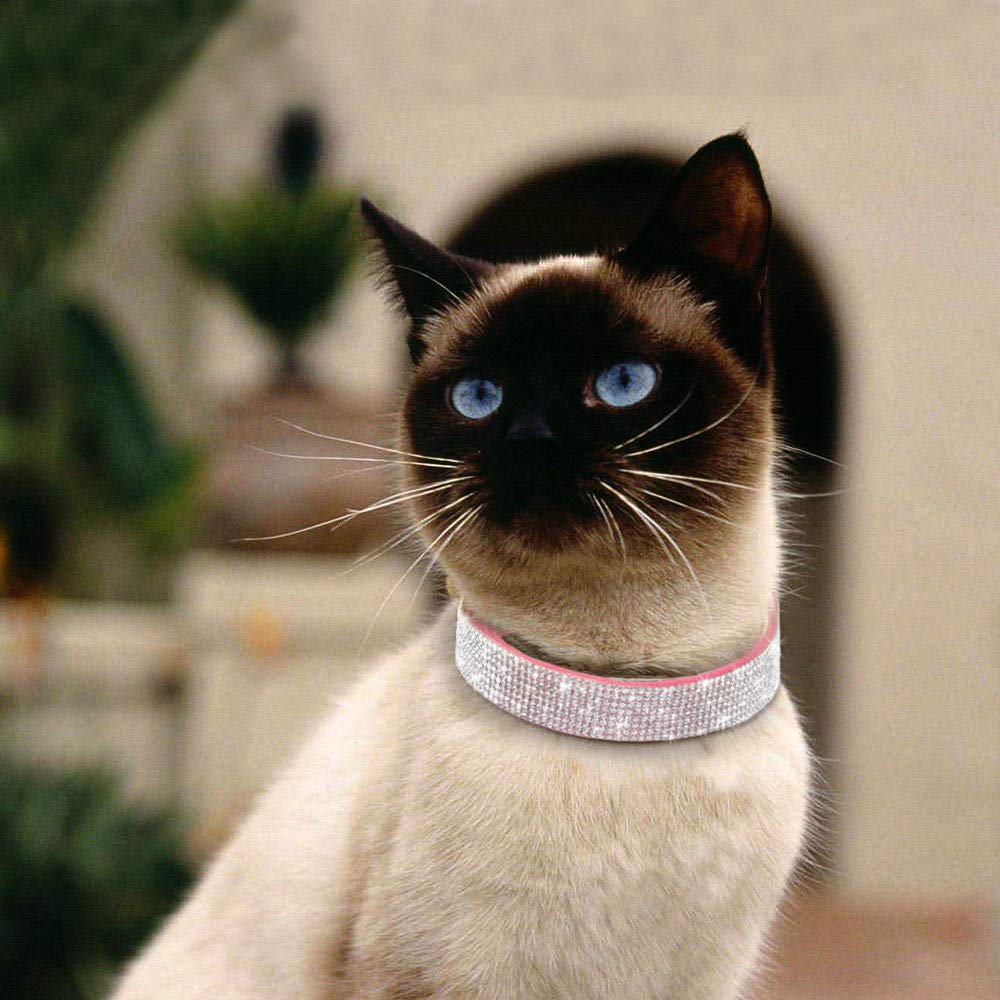 Haoyueer Rhinestone Dog Collar, Cute Dazzling Sparkling Soft Suede Leather Dog Cat Rhinestone Collar Crystal Diamond Pet Dog Puppy Collar(Hot Pink,Xxs 15.5 - 21 Cm)