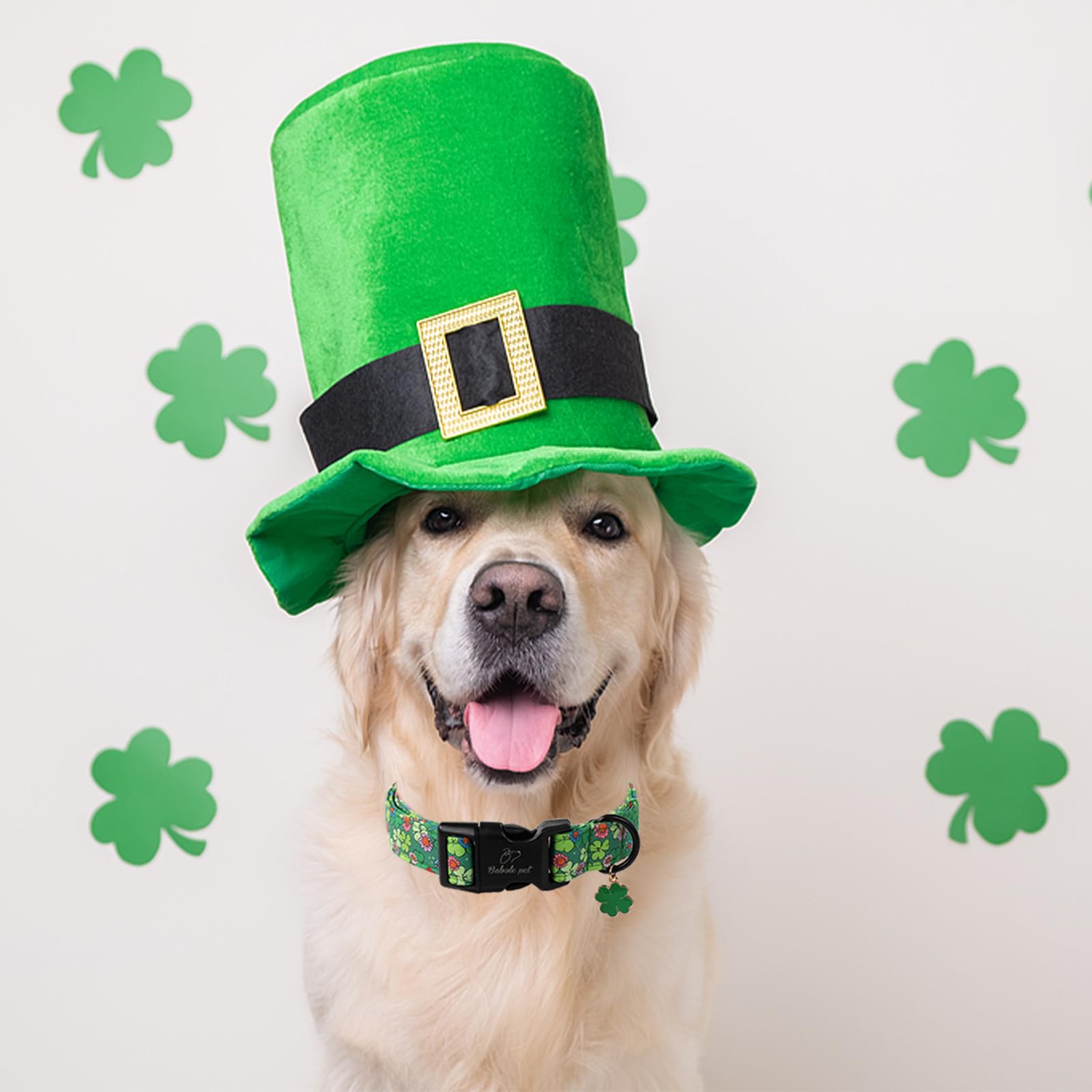 Babole Pet St Patricks Day Dog Collar, Lucky Clovers Dog Collar with Quick Release Plastic Buckle, Cute Shamrock Dog Collars for