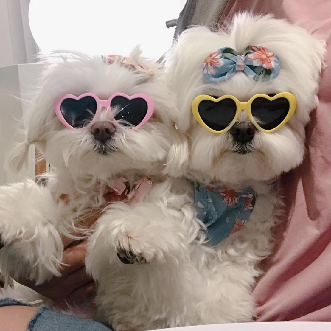White Heart Sunglasses For Pets - Photo Props, Cute Dog And Cat Glasses, Sun Flower Glasses For Small Dogs - Party Decor And Acc