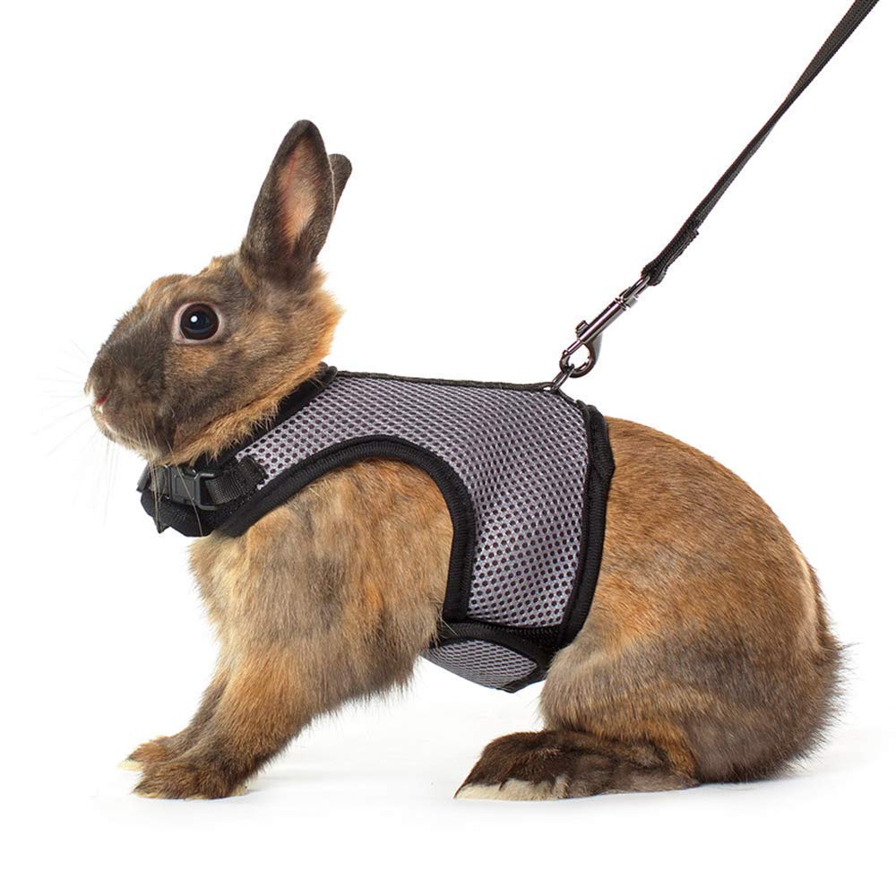 Niteangel Adjustable Soft Harness With Elastic Leash For Rabbits (S, Grey)