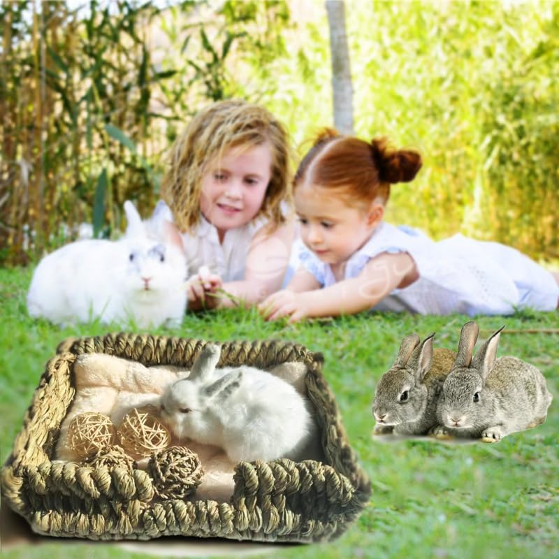 Kitkni Natural Seaweed Pet Bed With Plush Cushion, 4 Woven Balls, Handmade Tetragonal Pet Basket, Cozy Indoor Den For Rabbits, C