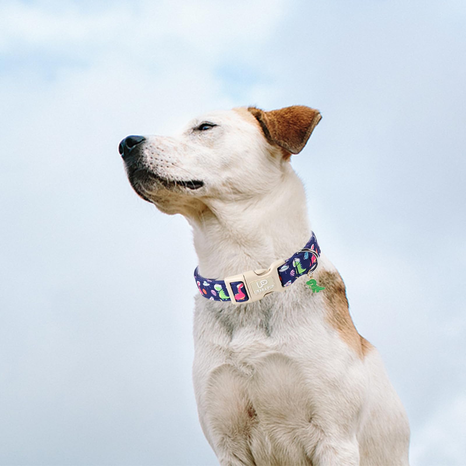 Up Urara Pup Summer Dog Collar-Dinosaur Dog Collars With Planet-Cute Blue Summer Pet Dollar-Soft, Adjustable & Stylish For Small