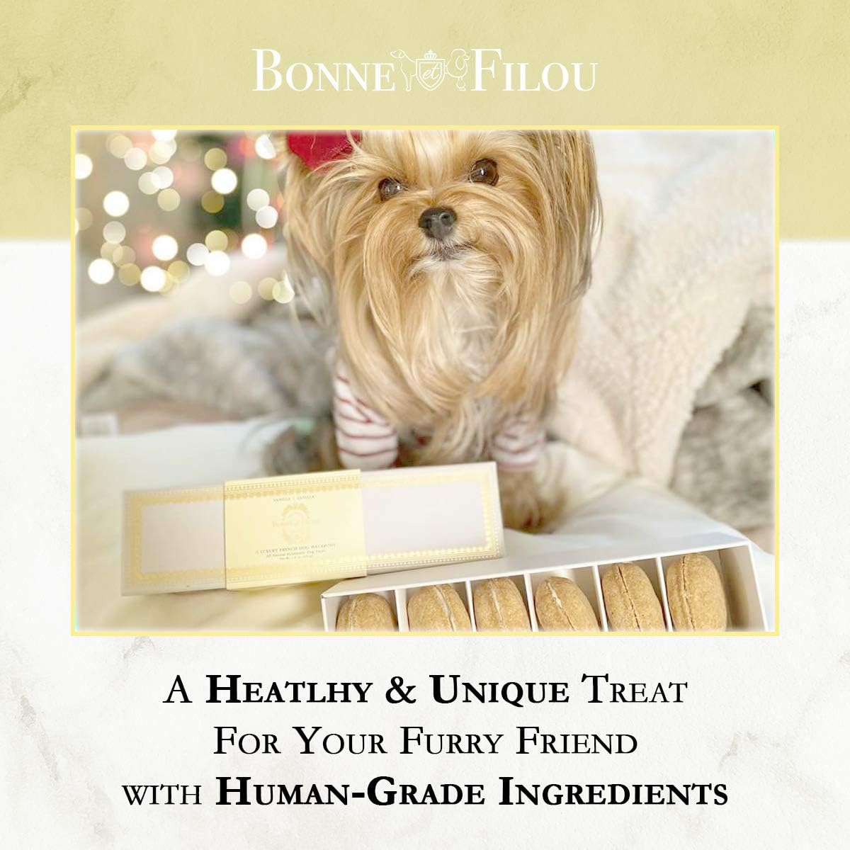 Bonne et Filou Dog Treats Vanilla Cupcakes, Dog Birthday Gift for Medium to Large Breed - Gourmet Macaron Cakes, Healthy & Delic