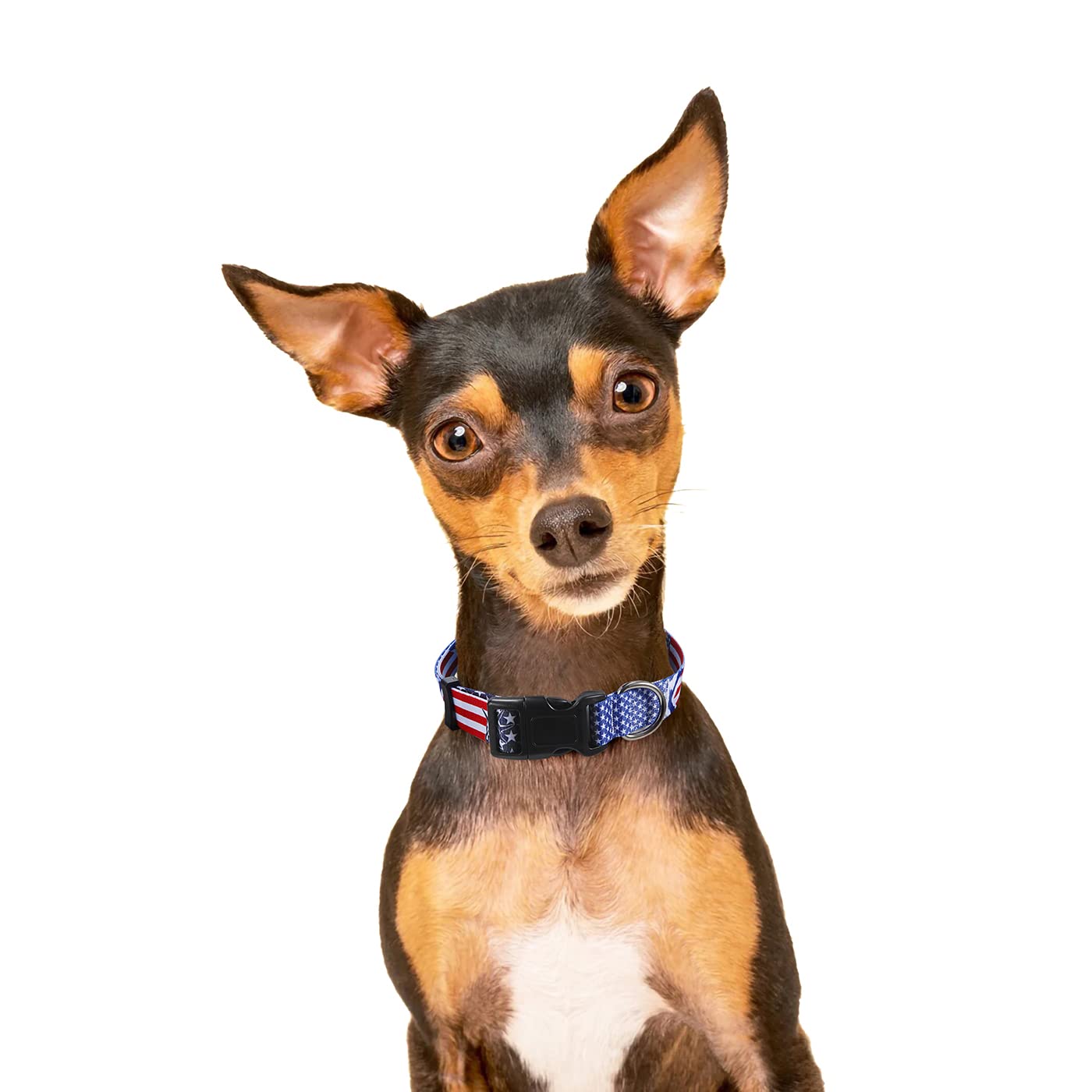 Mihqy Dog Collar With Bohemia Floral Tribal Geometric Patterns - Soft Ethnic Style Collar Adjustable For Small Medium Large Dogs(Red Flower,M)