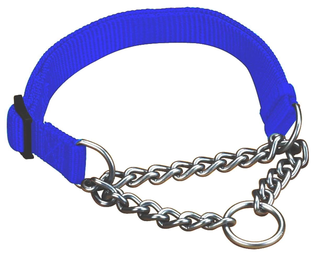 Hamilton Pet & Equine Hamilton 1 By 20 To 32-Inch Adjustable Combo Choke Dog Collar, Large, Chain And Blue Nylon