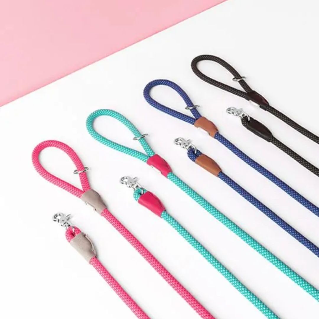 Zippypaws Mod Essential Dog Leash, Durable Rope Leash With Leather Accents, 5 Ft Long, Navy