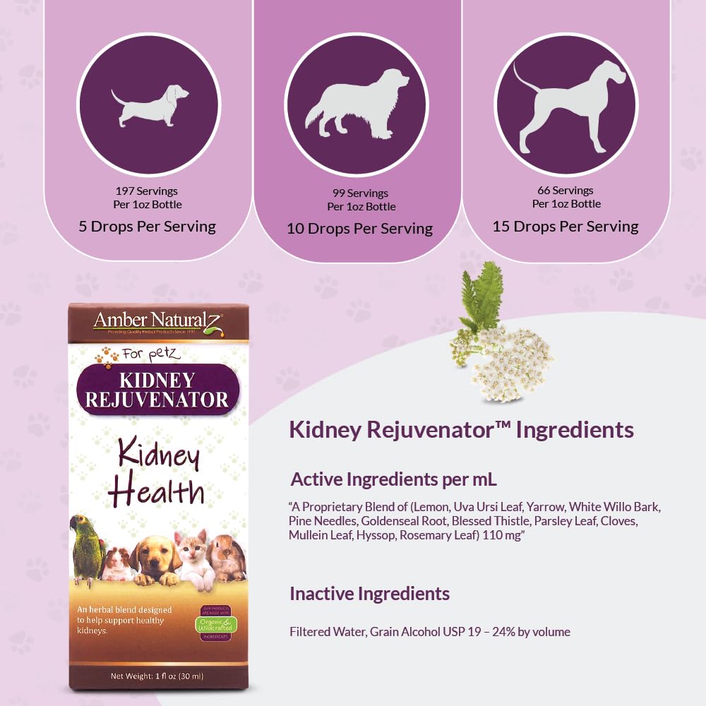 Amber NaturalZ Kidney Rejuvenator Herbal Supplement for Dogs, Cats, Birds, Guinea Pigs, and Rabbits | Pet Herbal Blend for Kidne