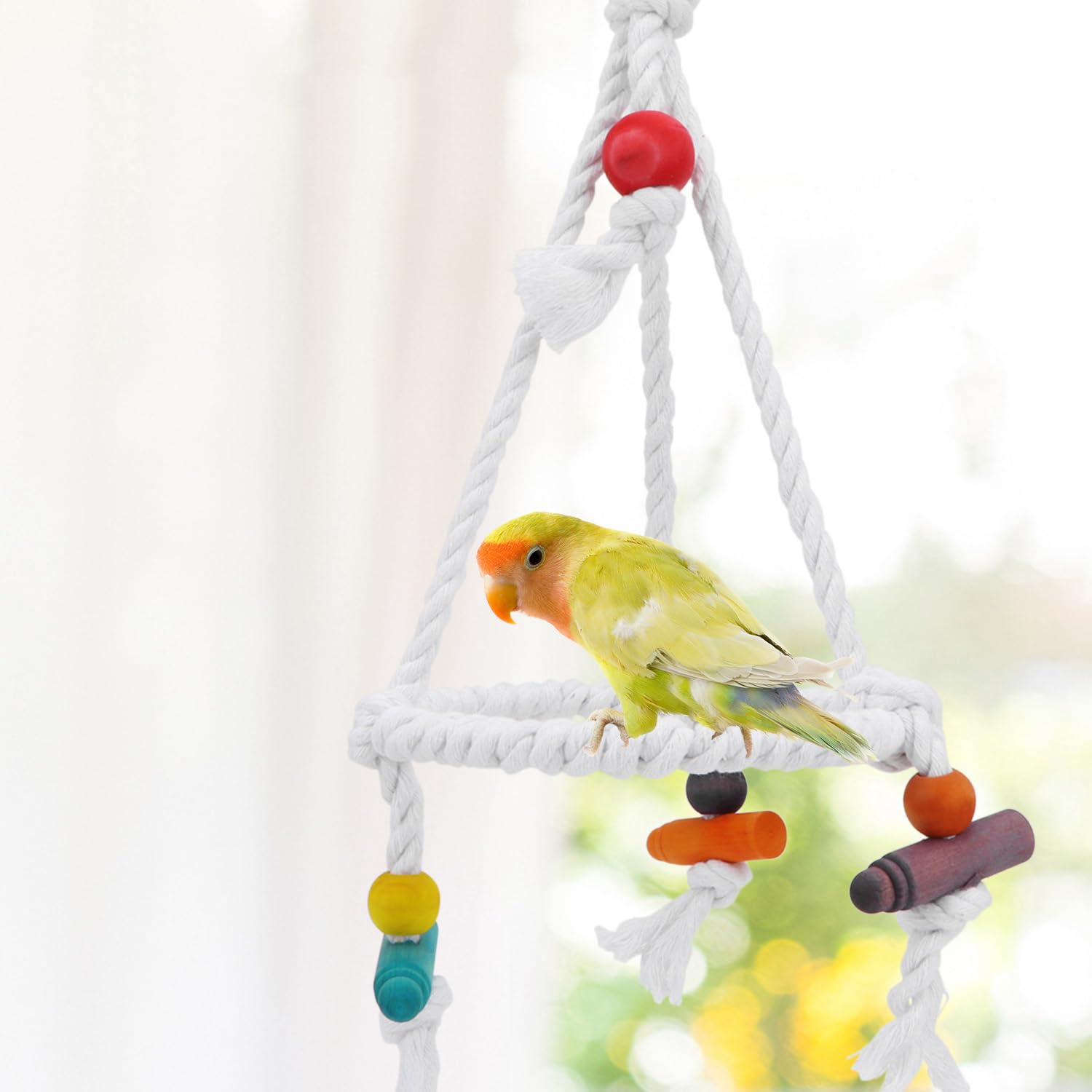 Hypeety Pet Bird Parrot Swing - Hanging Hammock For Parakeets, Budgies, Conures & Quaker Parrots - Cotton Rope Round Swing Toy