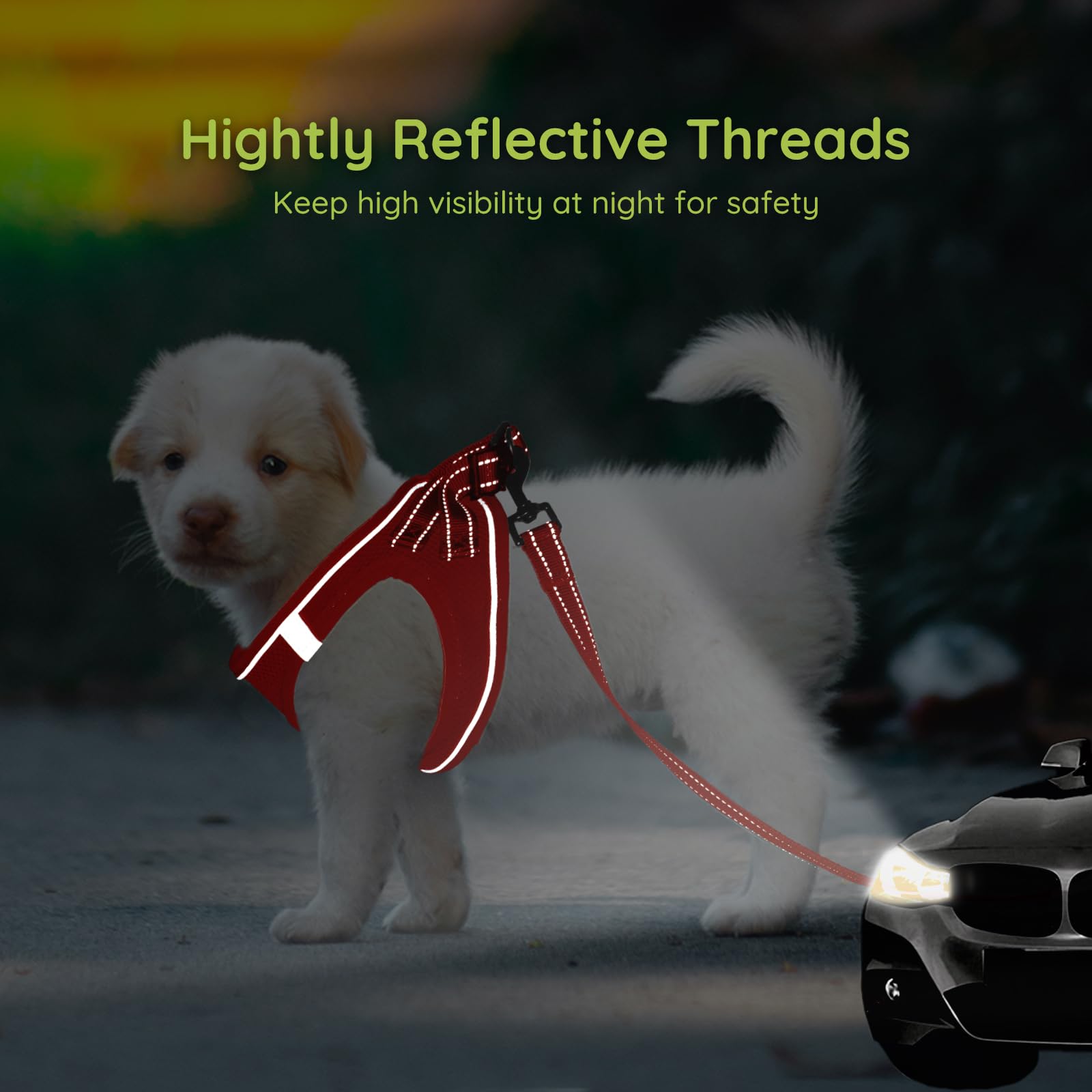 Bella & Pal Puppy Harness & Leash Set, No Pull Dog Harness For Extra Small Dogs, Red Xs