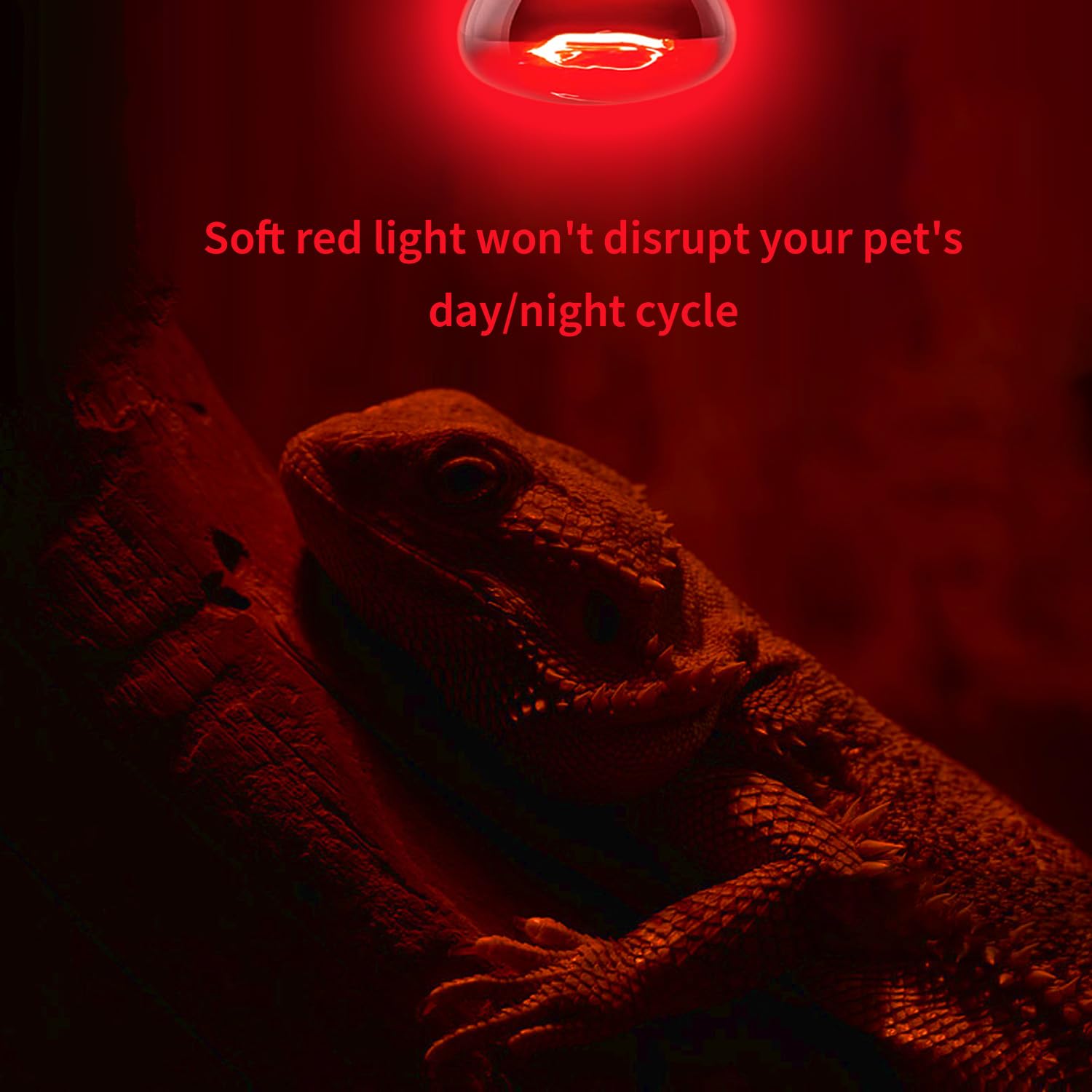 Koheopt 75W Reptile Heat Lamp Bulb 2-Pack,Complete Day & Night Basking Spot Light Combo Including Infrared Heat Lamp And Uva Day