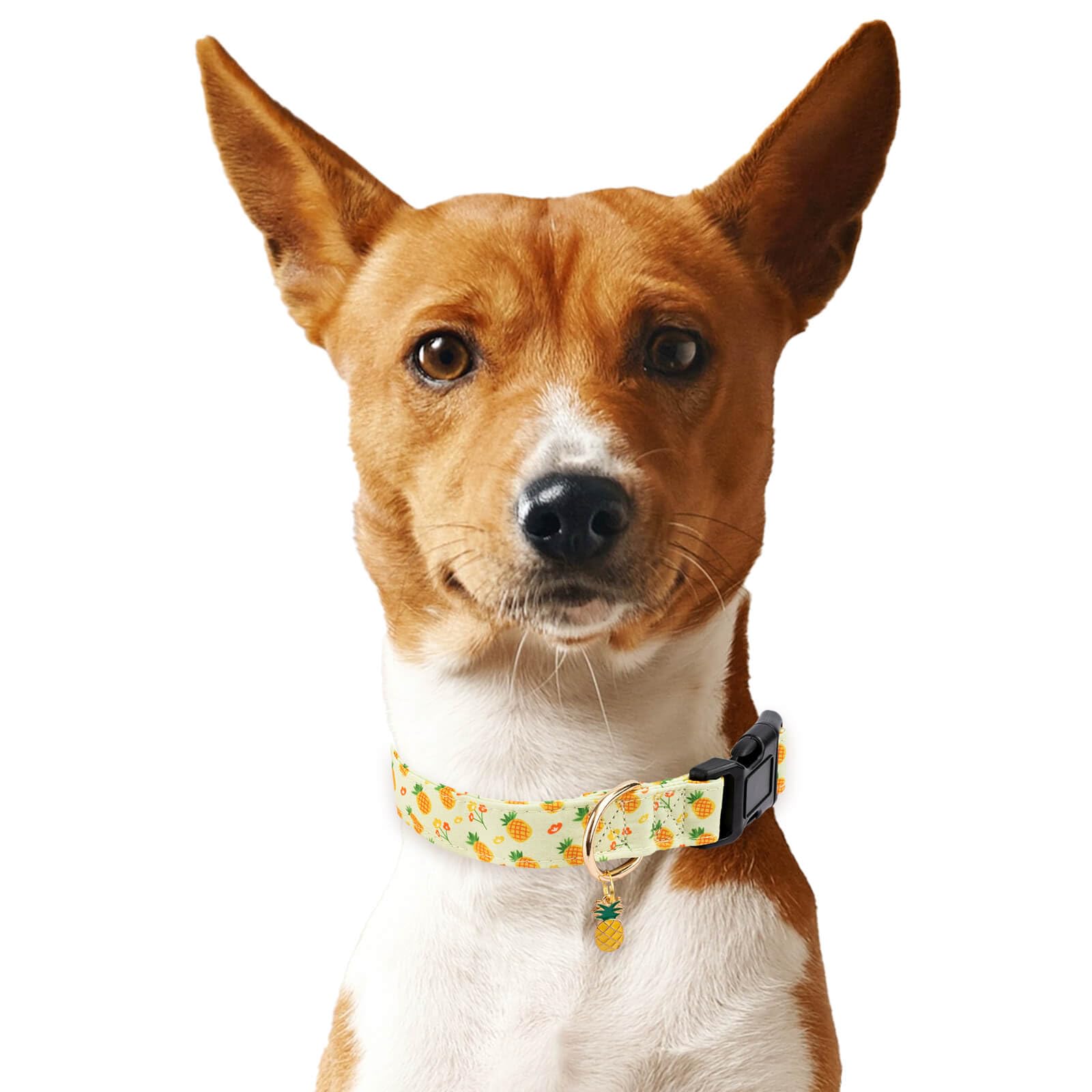 Gelwoo Cotton Dog Collar,Soft and Cute Puppy Collars with Pineapple Patterned Design for Girl Female Boy Dogs,Adjustable Buckle