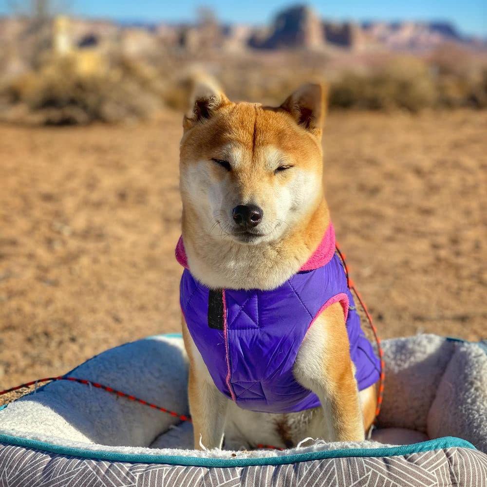 Gooby - Sports Vest, Fleece Lined Small Dog Cold Weather Jacket Coat Sweater With Reflective Lining, Purple, Large