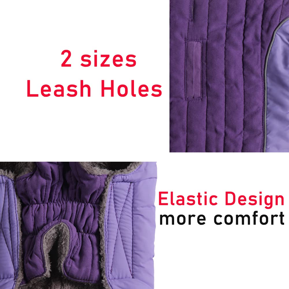 JoyDaog Fleece Dog Hoodie for Small Dogs Super Warm Puppy Jacket for Cold Winter Dog Coats,Purple XS