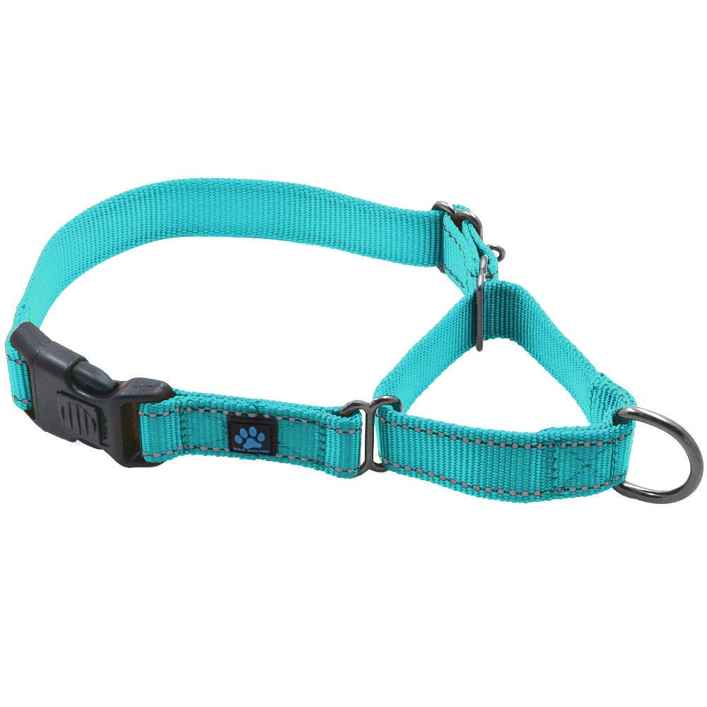 Max And Neo Nylon Martingale Collar - We Donate A Collar To A Dog Rescue For Every Collar Sold (Medium, Teal)