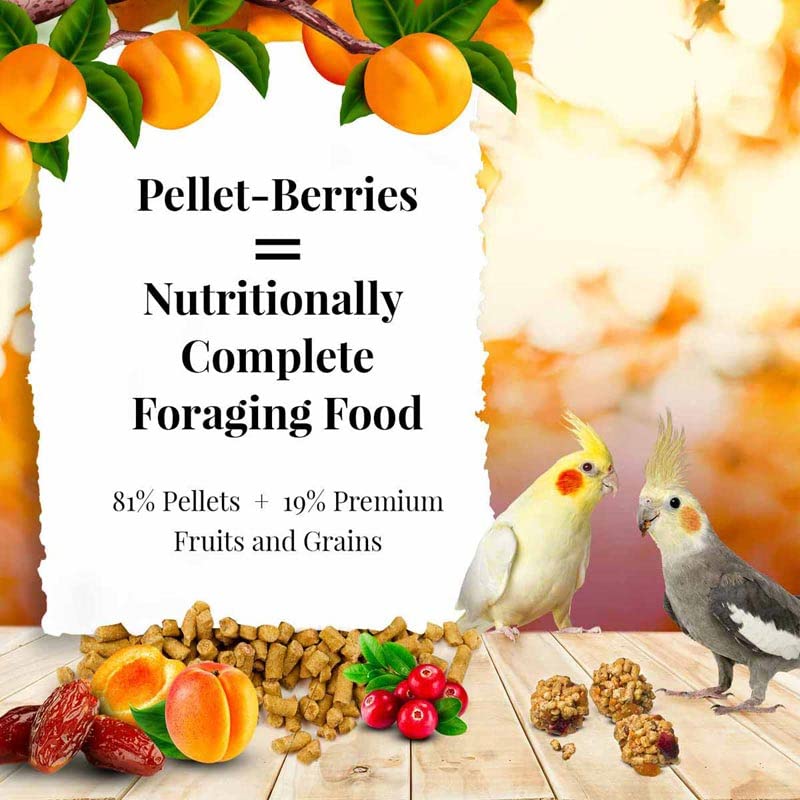 LAFEBERS Pellet-Berries Pet Bird Food, Made with Non-GMO and Human-Grade Ingredients, for Cockatiels (PelletBerries 10 oz)