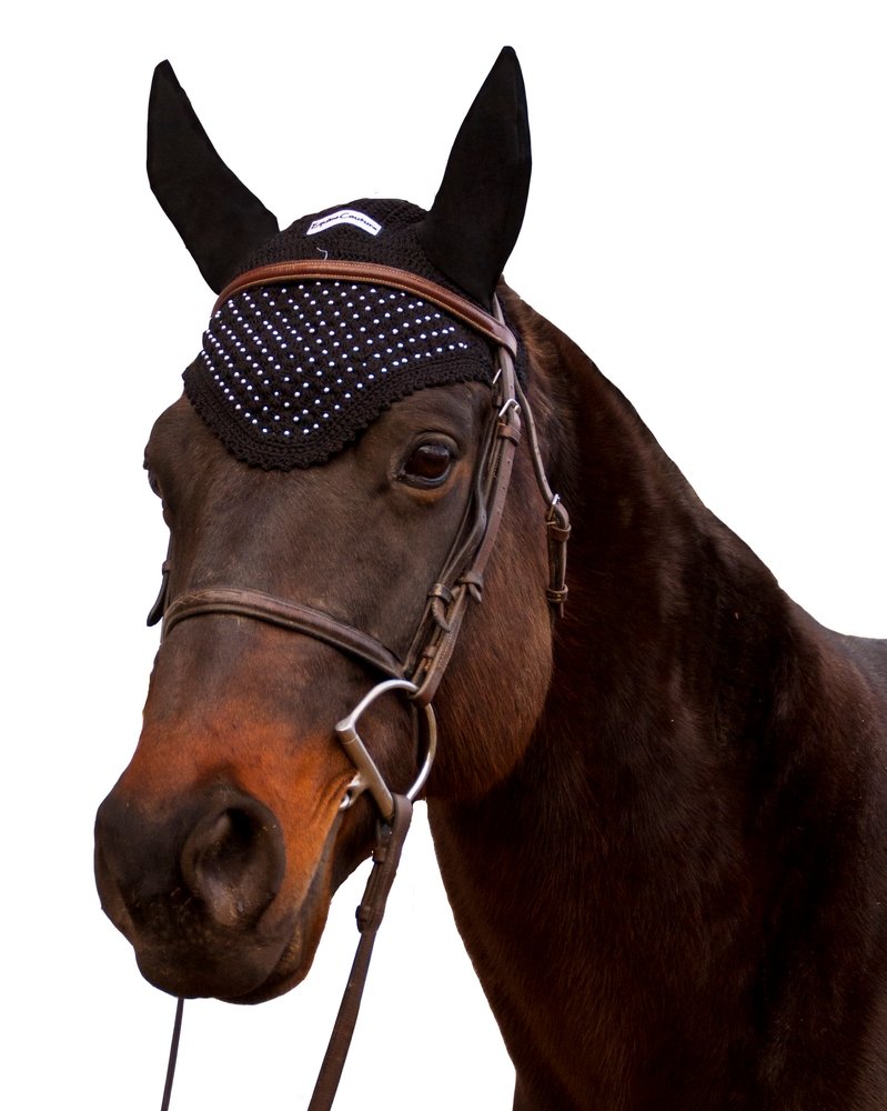 Equine Couture Fly Bonnet - Pony Color - Black, Size - Full