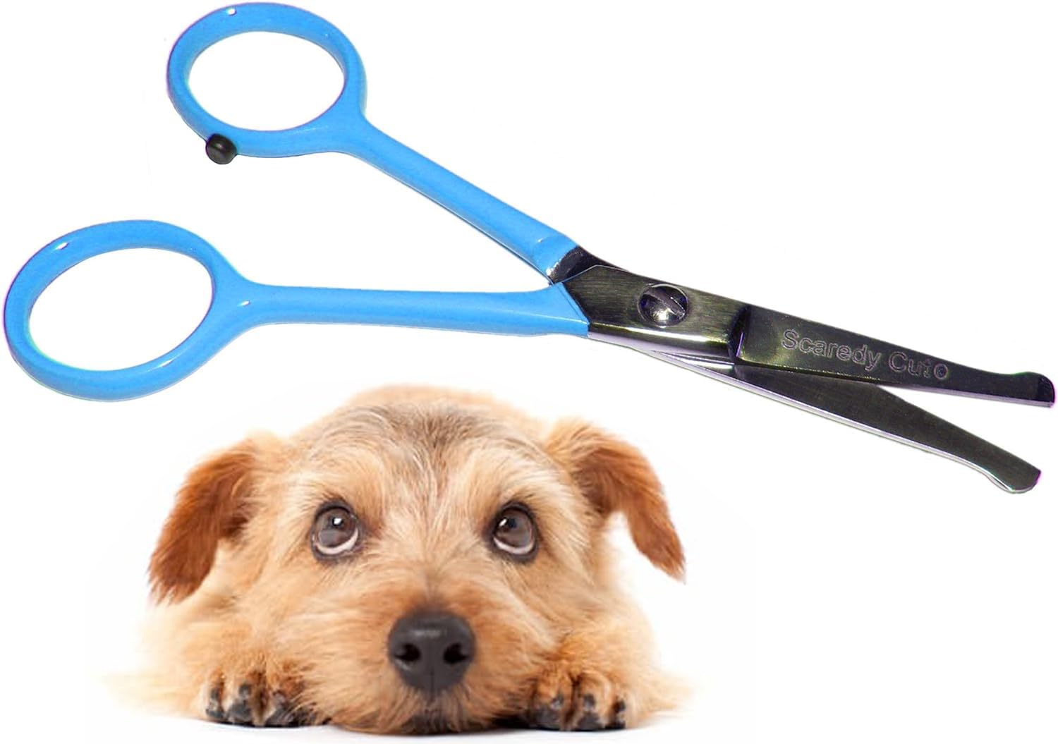 Tiny Trim 4.5'' Ball-Tipped Scissor For Dog, Cat And All Pet Grooming - Ear, Nose, Face & Paw - Scaredy Cut'S Small Safety Sciss