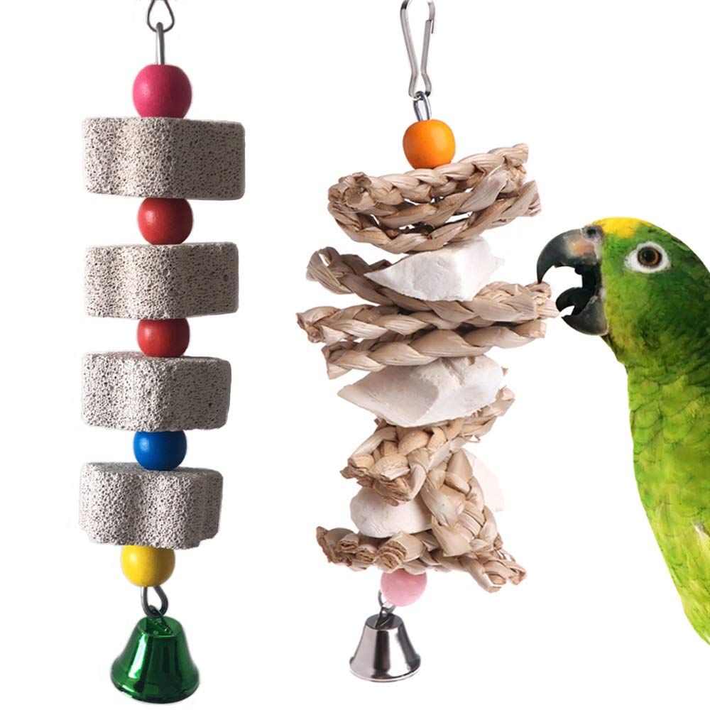 Pinvnby 2 Pack Parrot Toys Chewing Bird Toy Cuttlebone Beak Grinding Stone Cage Hanging Toys With Bell For African Greys Amazon 
