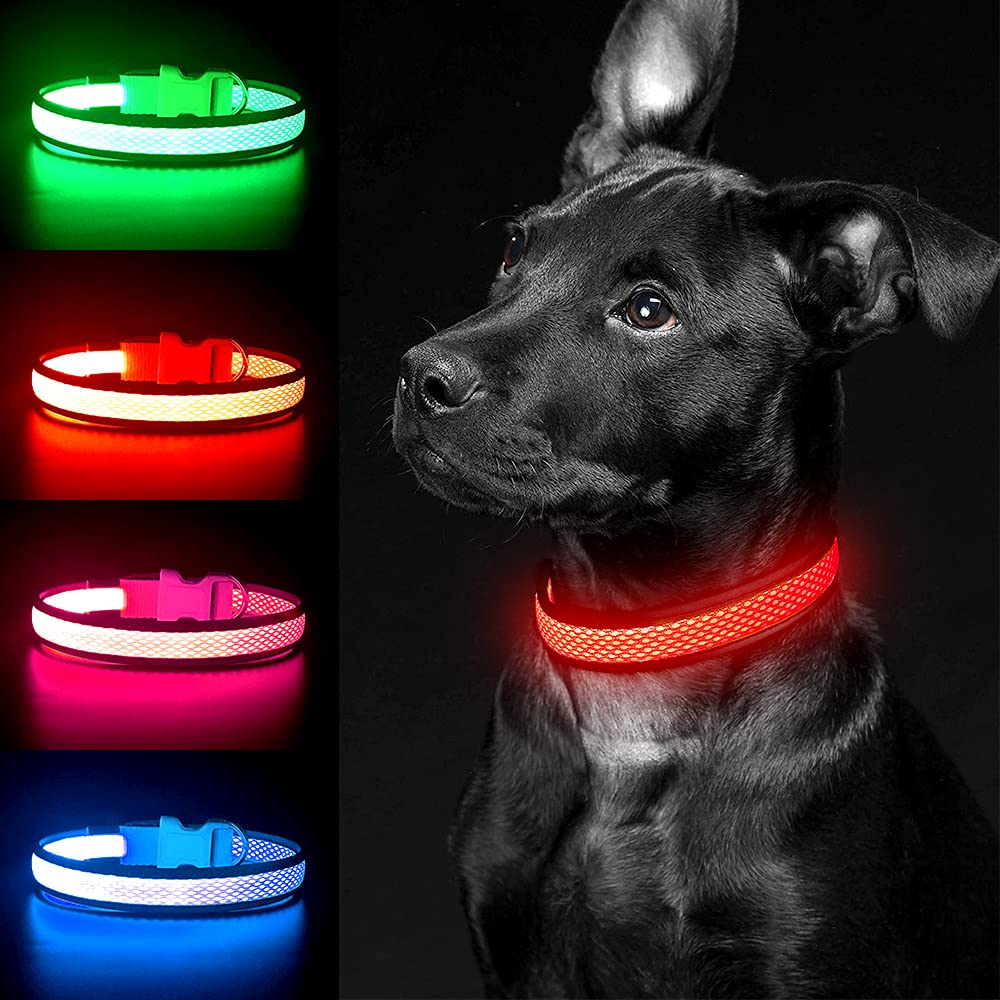 YFbrite Light up Dog Collar, USB Rechargeable LED Puppy Collar Super Bright Adjustable Glowing Dog Lights for Night Walking (Red