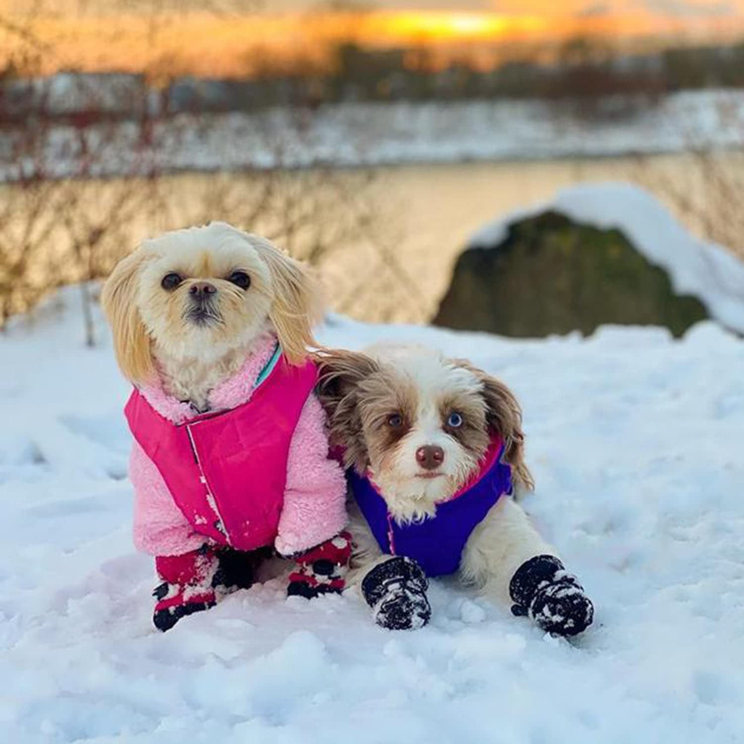 Gooby - Sports Vest, Fleece Lined Small Dog Cold Weather Jacket Coat Sweater With Reflective Lining, Pink, Small